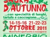 sagra-autunno-2011-1